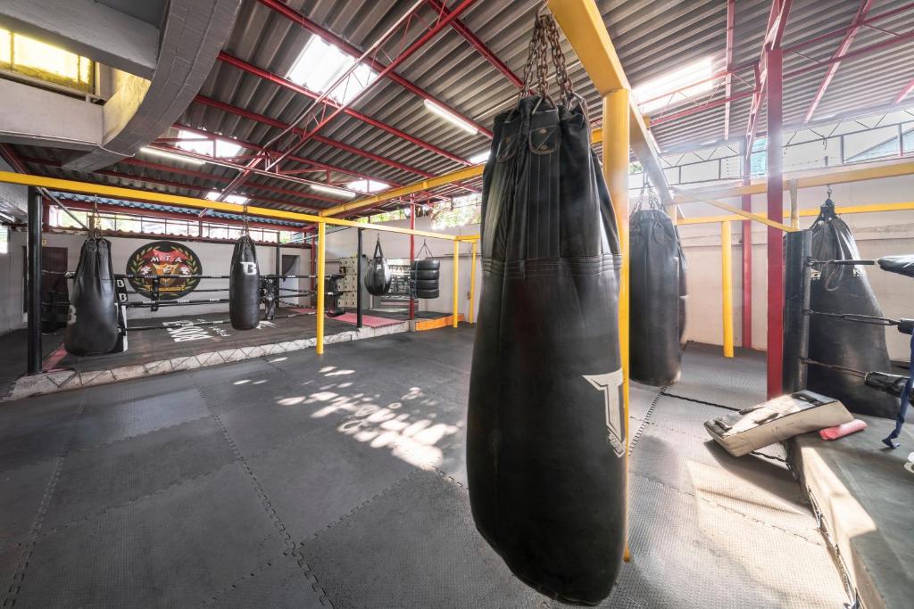 Sports and activities