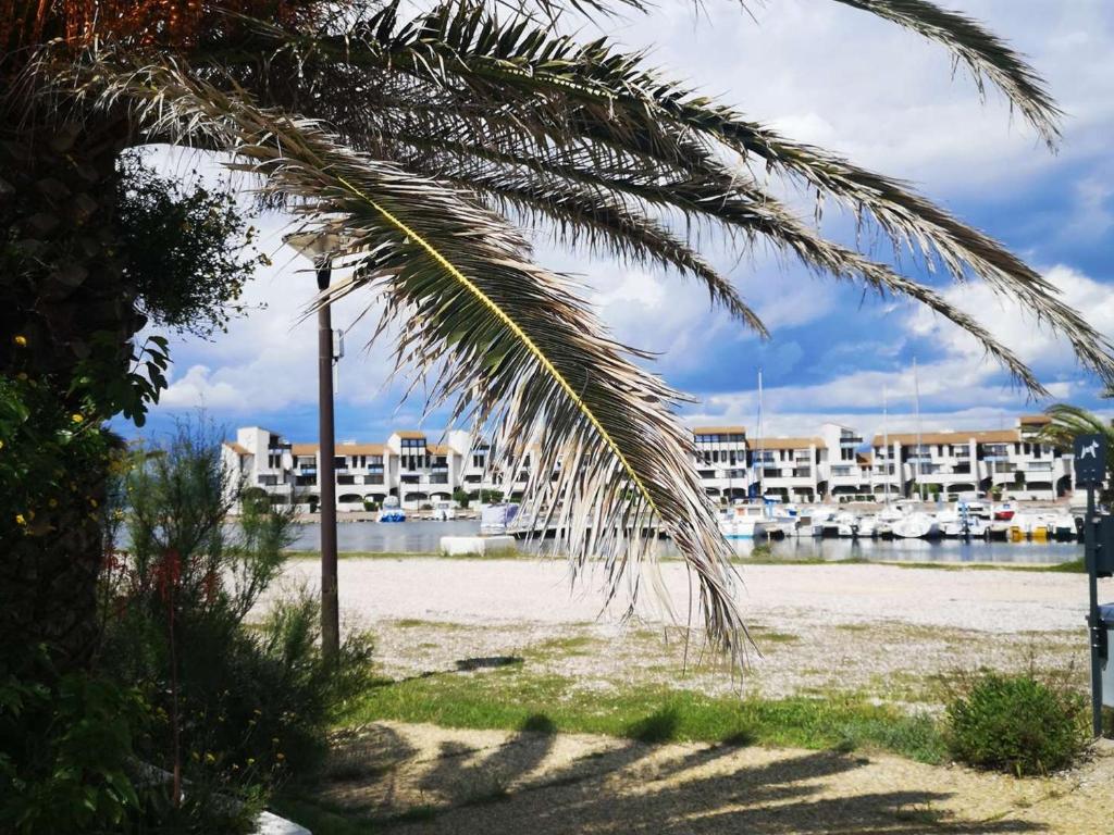 Appartement T2 avec Terrasse et Piscine, Parking Privé, Espace Aquatique - Le Barcarès - FR-1-195-22 - 4
