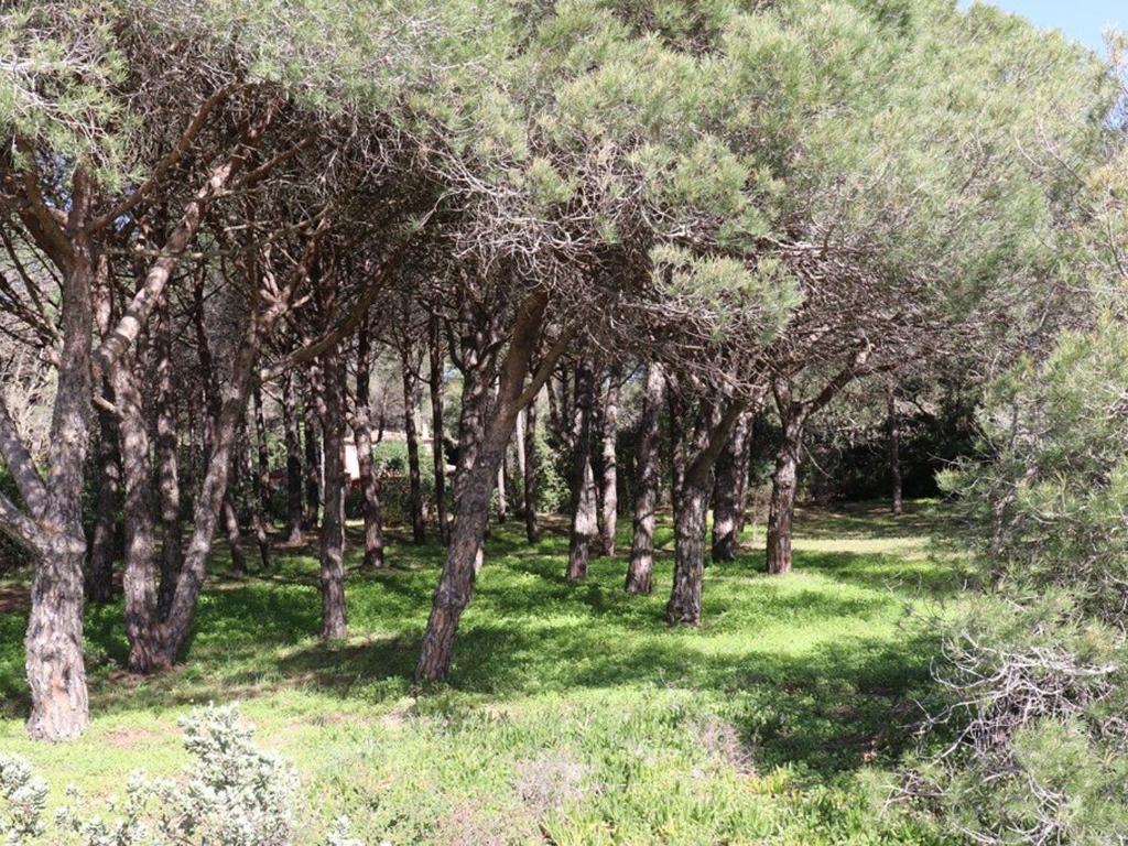 Villa de charme en pinède, 4 chambres climatisées, accès direct plage - FR-1-100-209 - 3