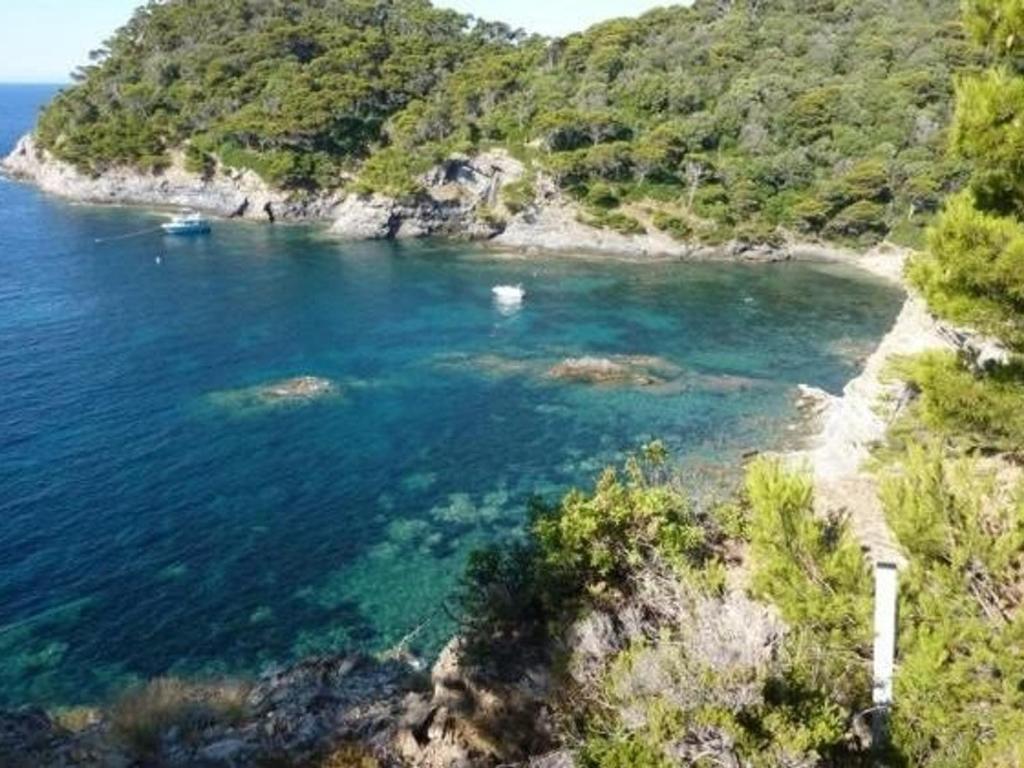 Charmant T2 à Giens avec grande terrasse, piscine et à proximité des plages - FR-1-335-160 - 5