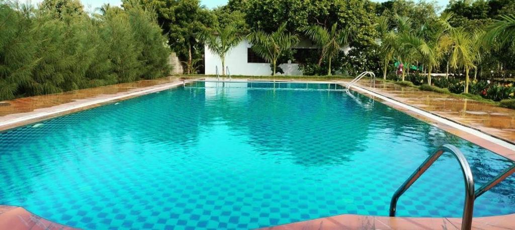 Paradise Forest Resort photo