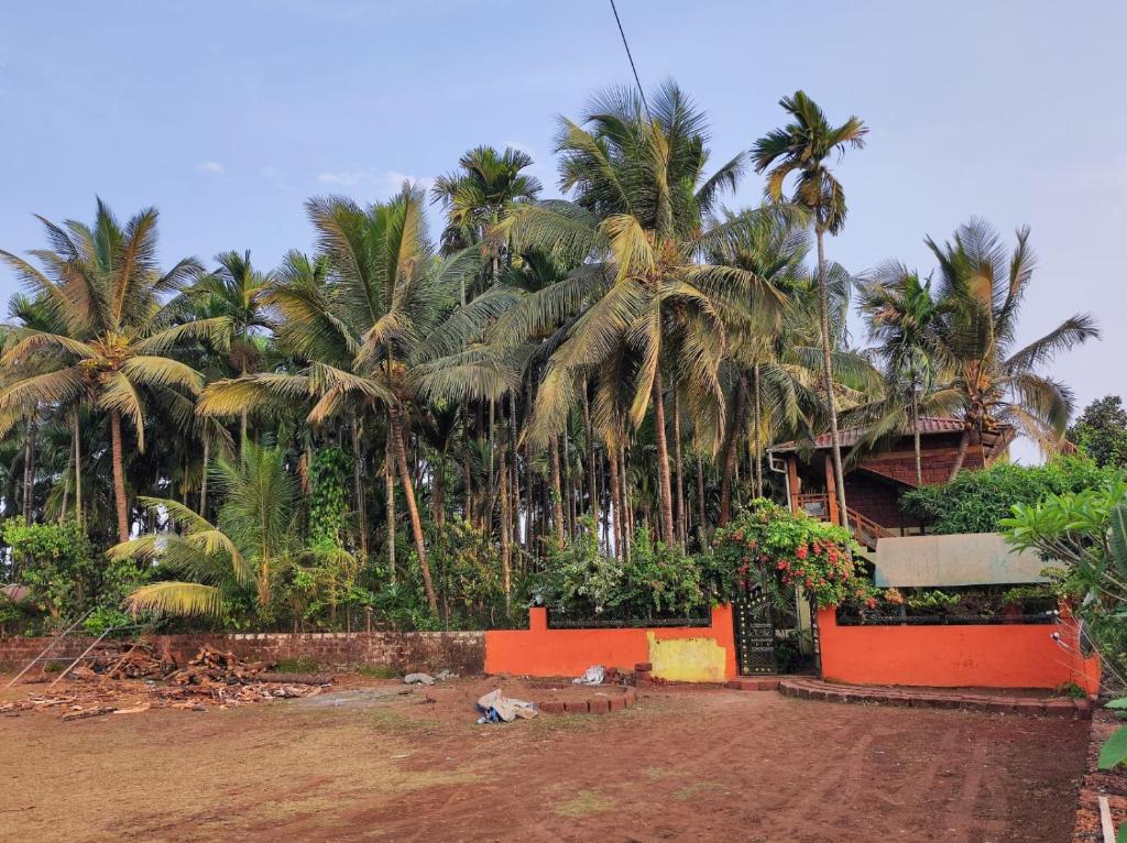 Nature Harmony Resort photo