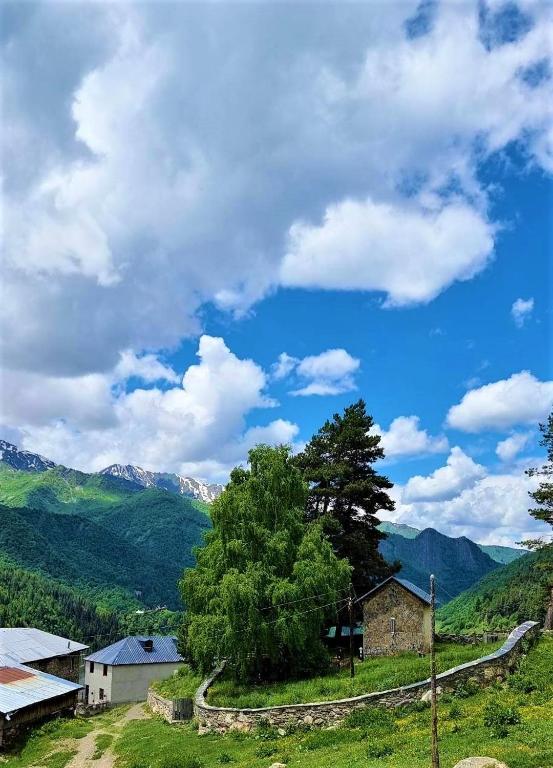 Betegi Guest House — Hotel in Mestia