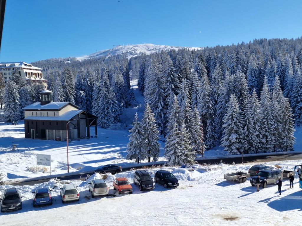 CentralKop, Kopaonik