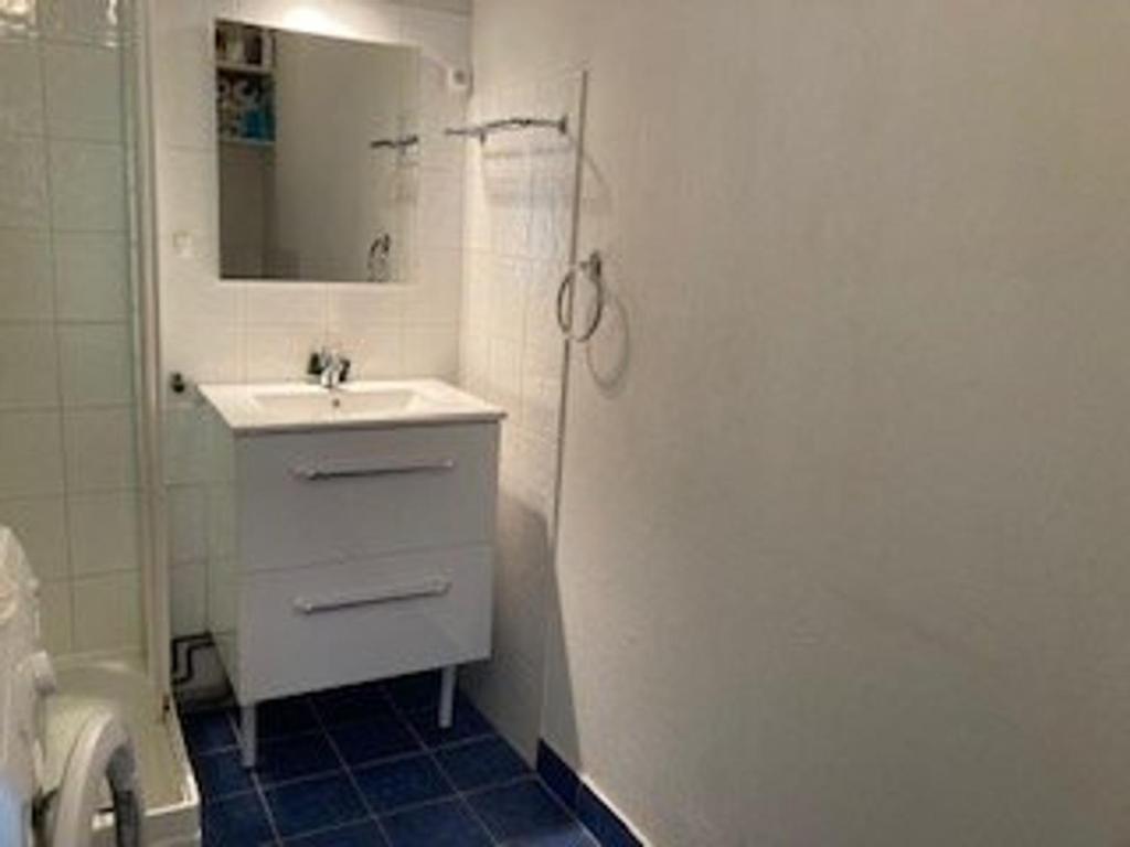 Appartement F2 Confortable avec Parking et Animaux Admis - 4