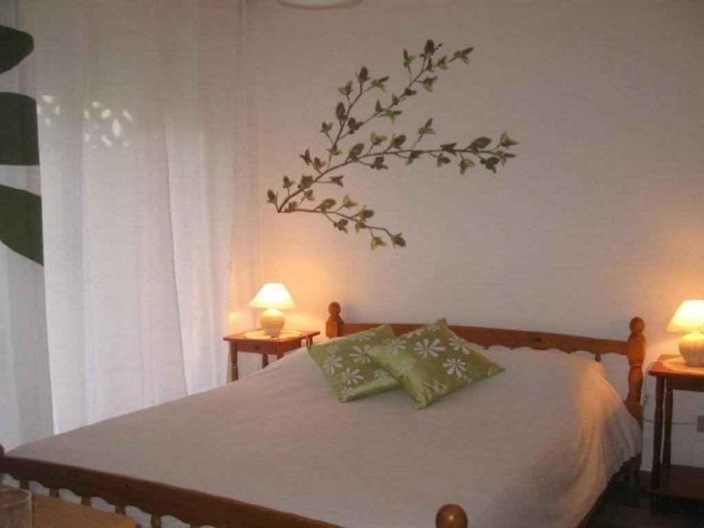 Appartement F2 climatisé, balcon, proche Thermes d'Amélie-les-Bains - 5