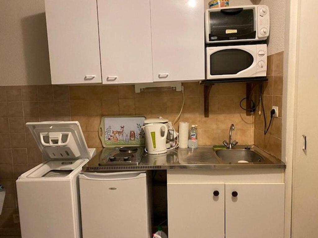 Studio cosy avec parking à 50m des Thermes, 2 couchages - Amélie-les-Bains - FR-1-703-55 - 4