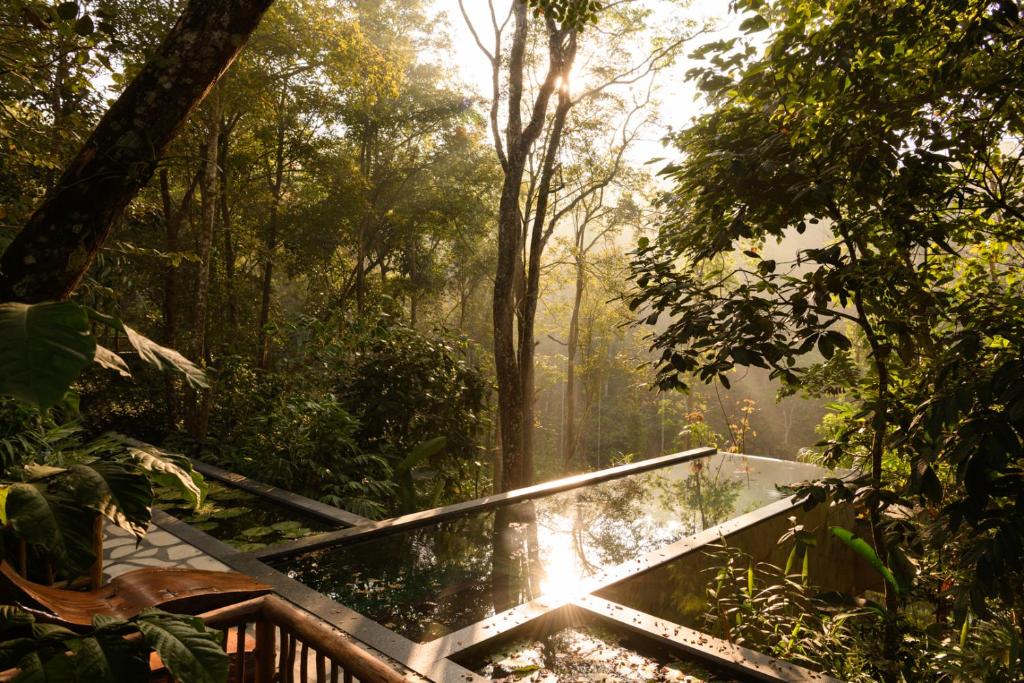 Earthitects Holiday Experiences,Wayanad photo