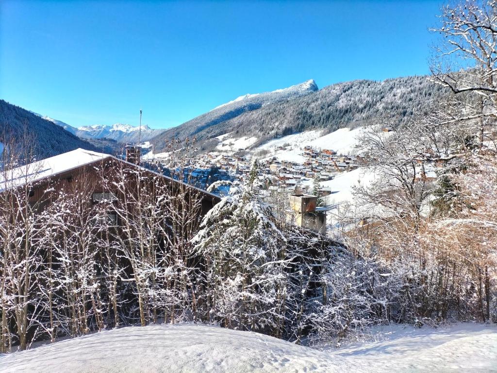 Studio belle vue sur les montagnes - 2