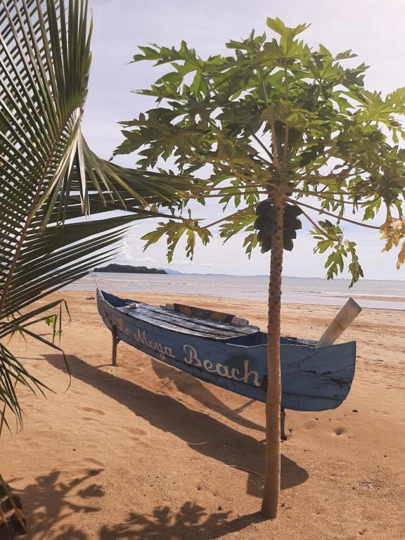 Le Moya Beach photo