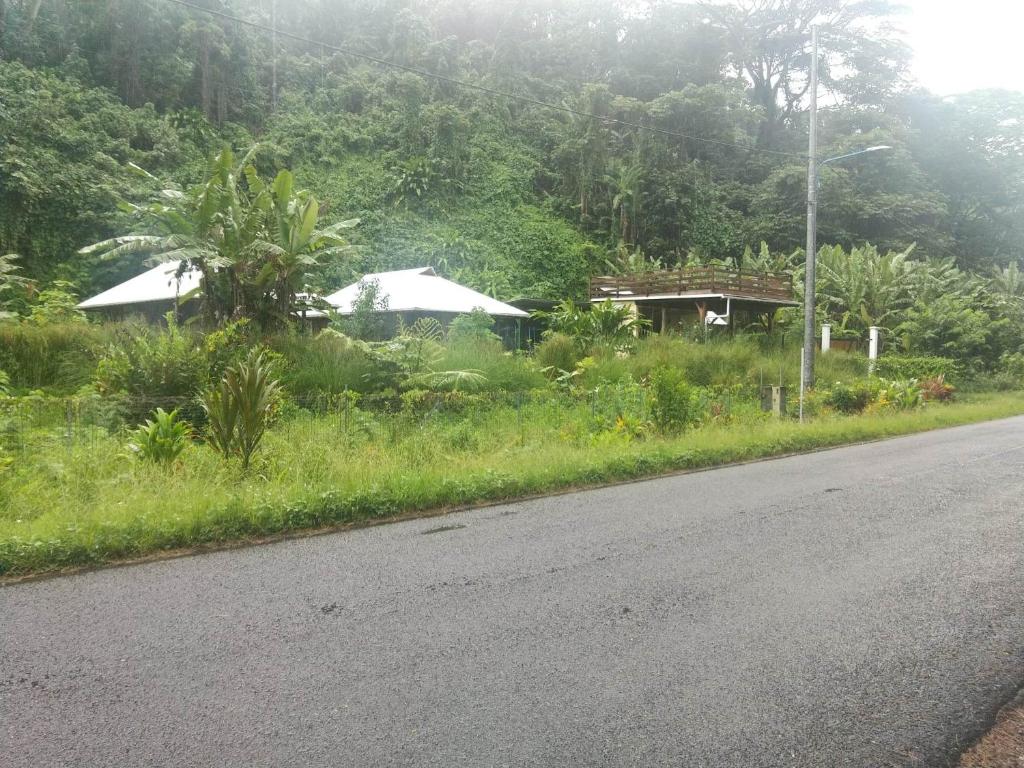 Fare Hanuatai photo