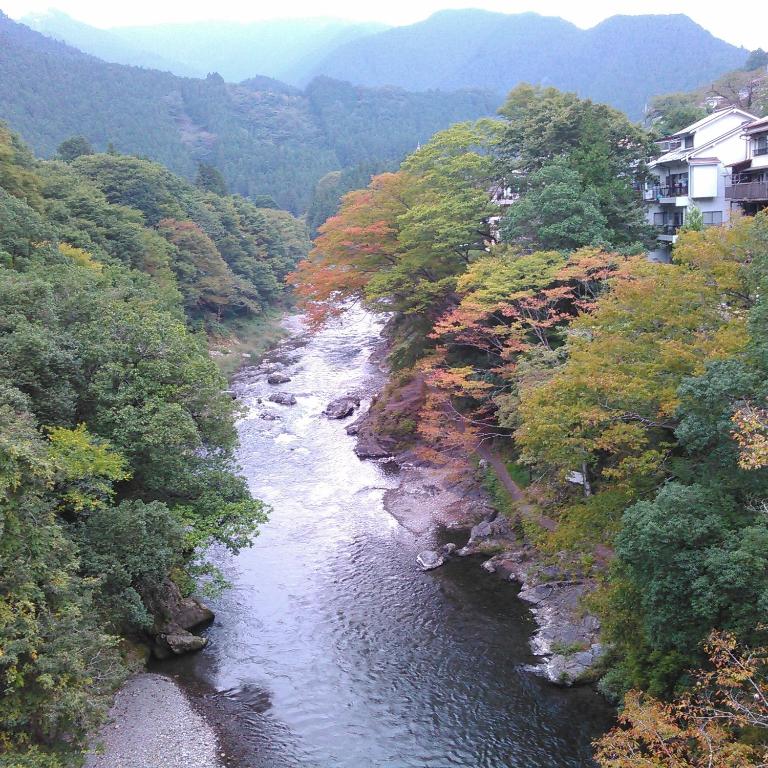 駅前山小屋A-yard photo