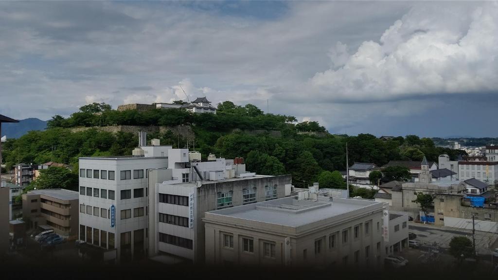 Tsuyama Central Hotel Annex photo