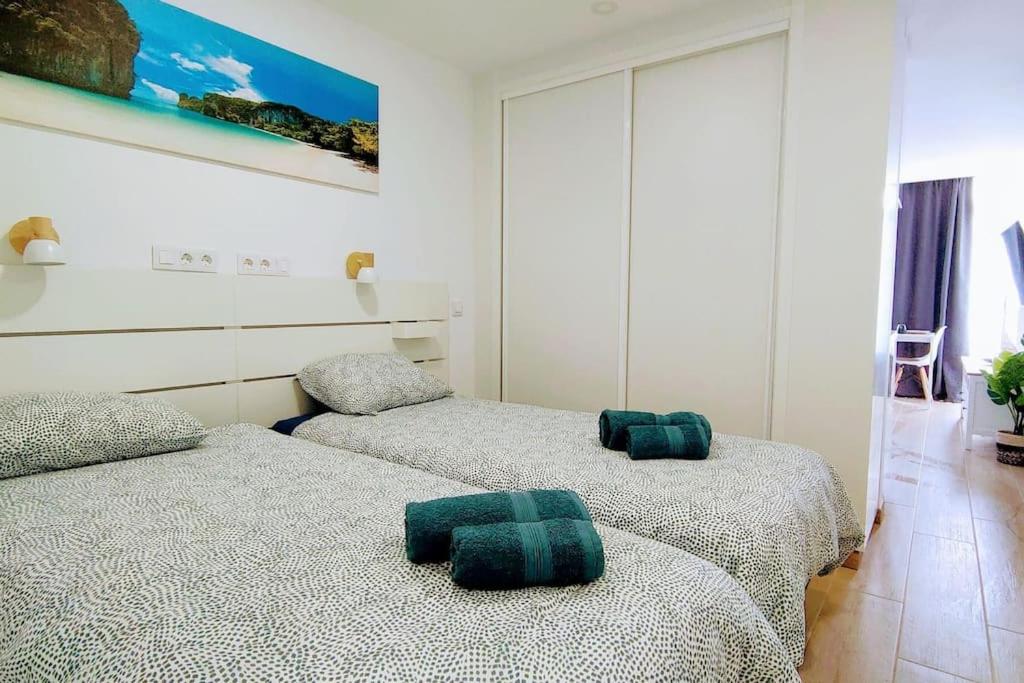 Caribe 530 by CASAS COCODRILO - 4