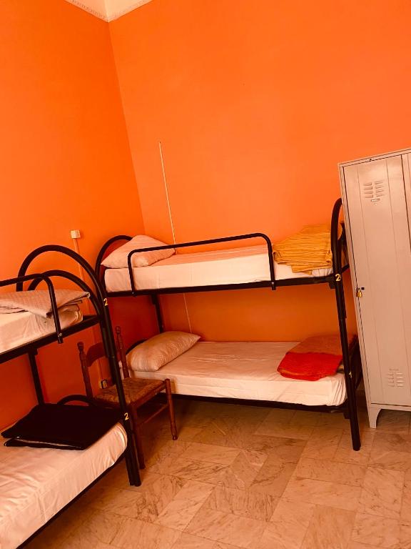 Dama HostelBB photo