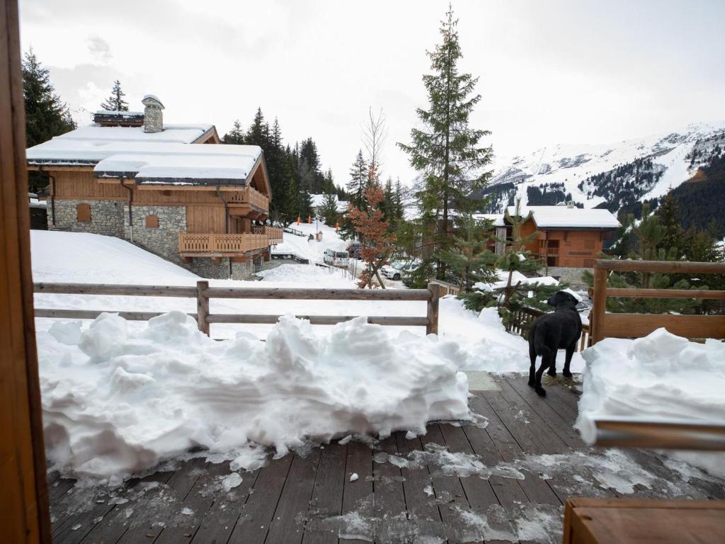 Chalet Méribel : Ski aux pieds, spacieux, lumineux avec cheminée - 2