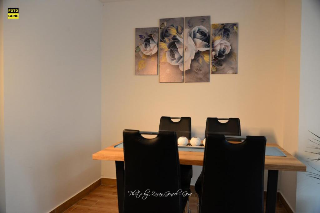 Apartment No 11 - 5