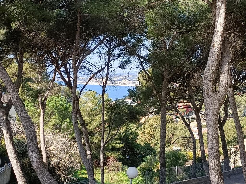 Appartement T2 Sanary sur mer - 3
