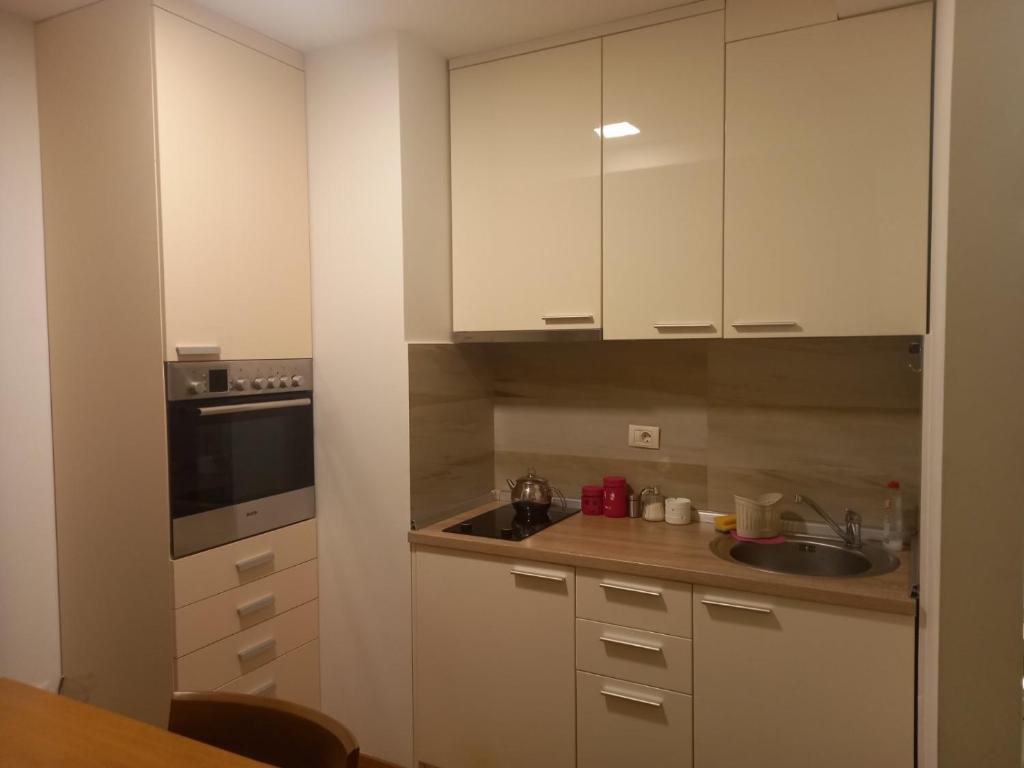 Vila Borova Zlatibor Apartman 501 - 1