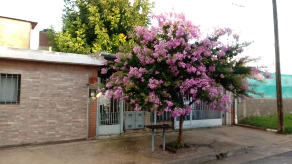 El Nogal monoambiente kichenete - 4