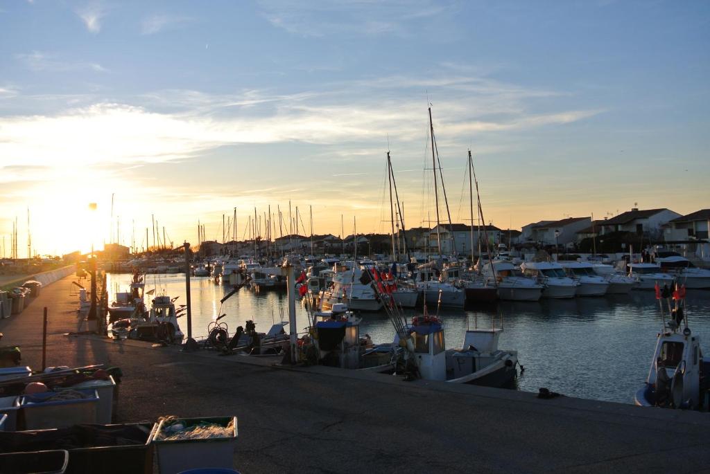 Le Cocardier Sainte Marie De La Mer
