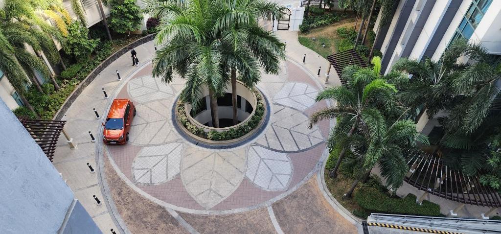 palm tree villas photo