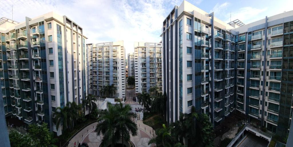 palm tree villas photo