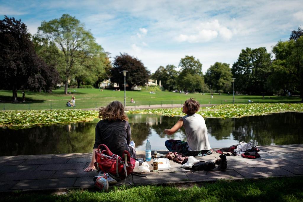 Surrounding environment