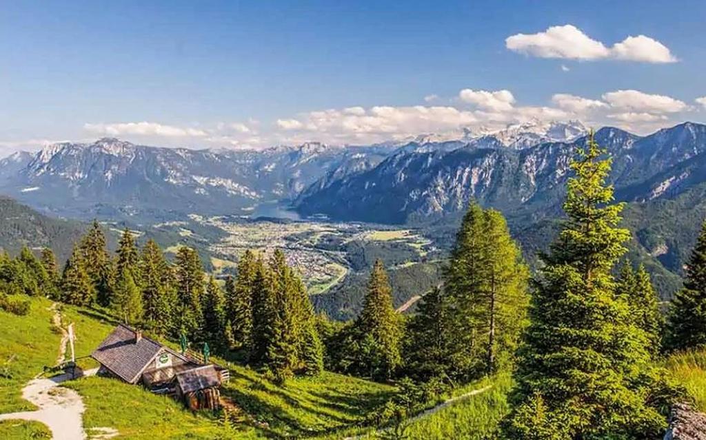View