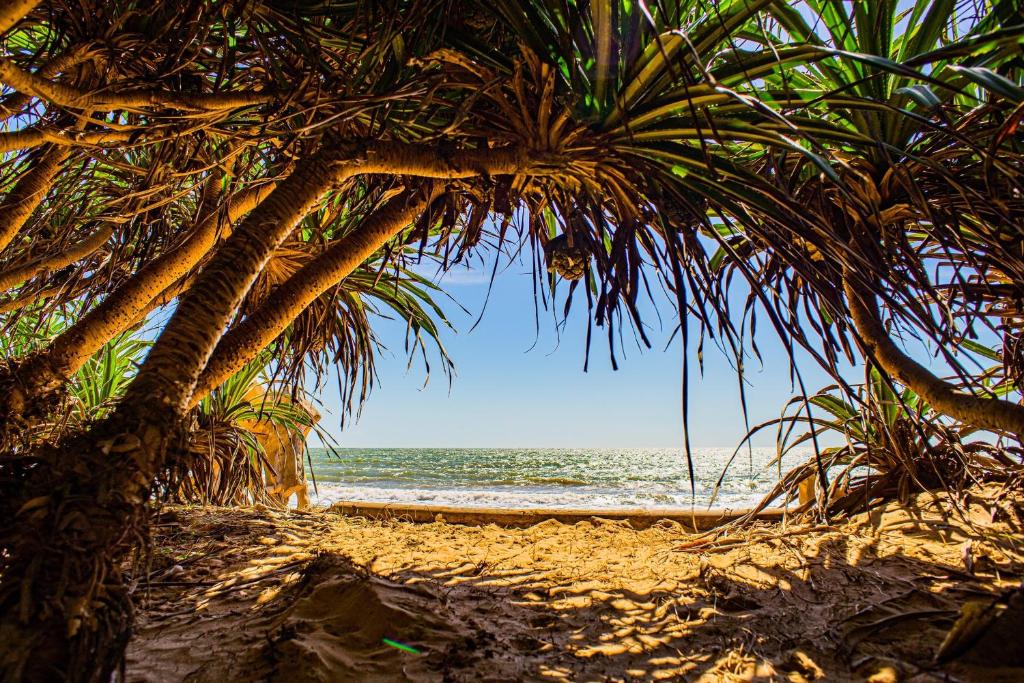 Lotus Beach House photo