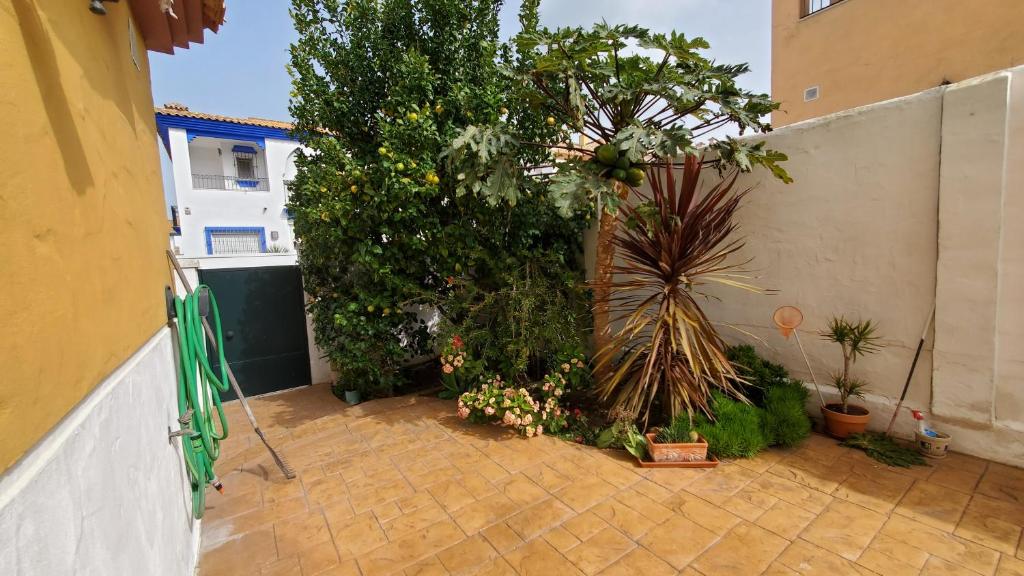 Villa Tahona - 4