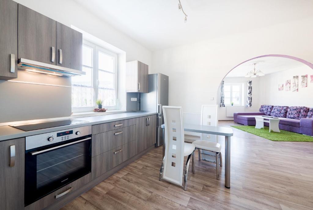 Kitchen, Hostel Foster in Marianske Lazne