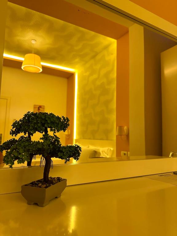 Hotel Green House photo