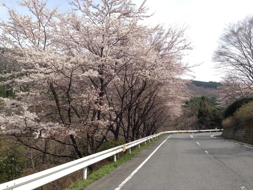 Surrounding environment