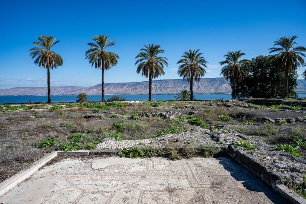 Surrounding environment