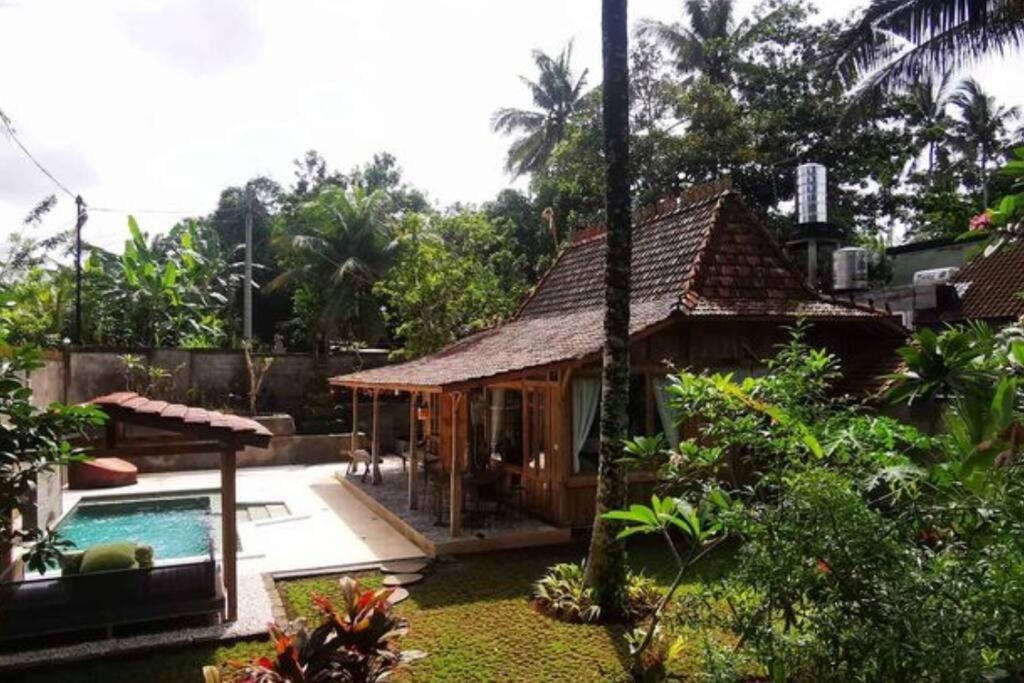 The Birdhouse Villa photo