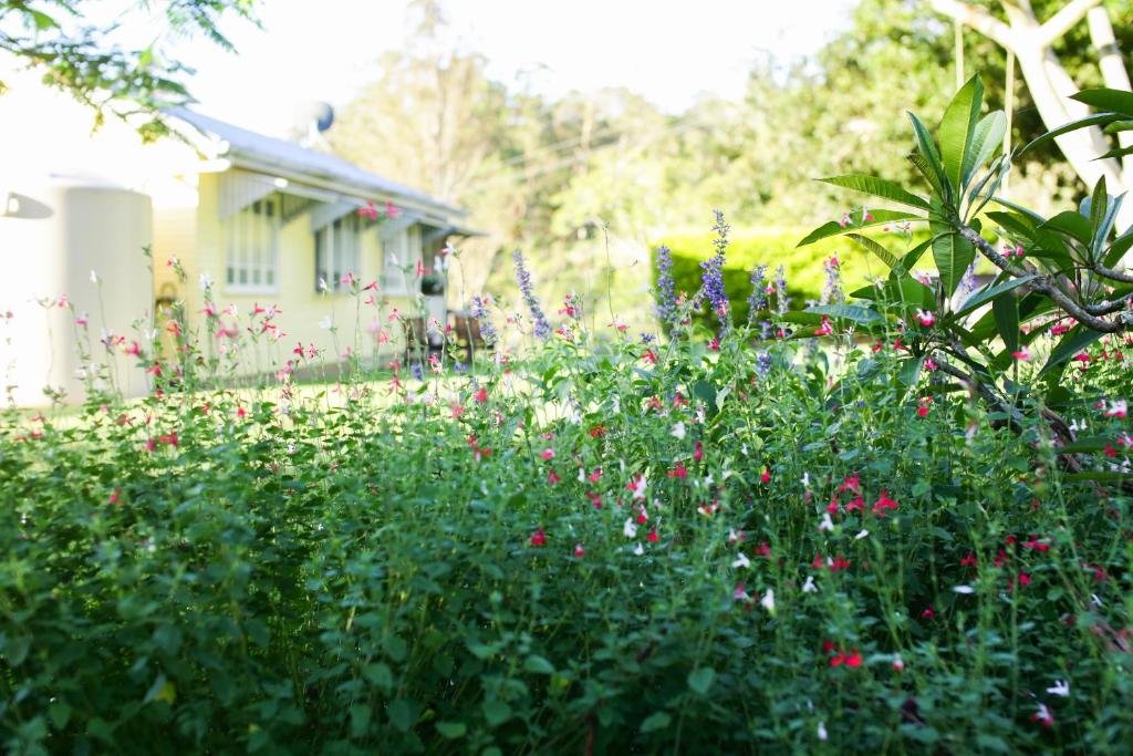CedarBrae Country Stay photo