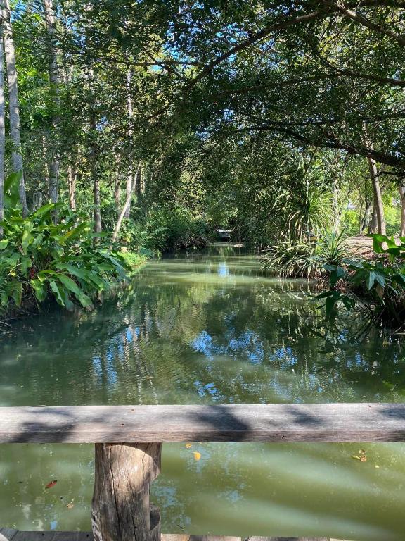 Surrounding environment