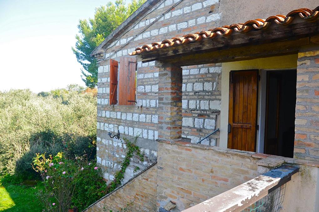Tra Gli Olivi E La Riviera Del Conero - 3