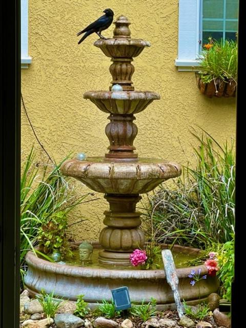 Glen Ellen Inn Secret Cottages photo