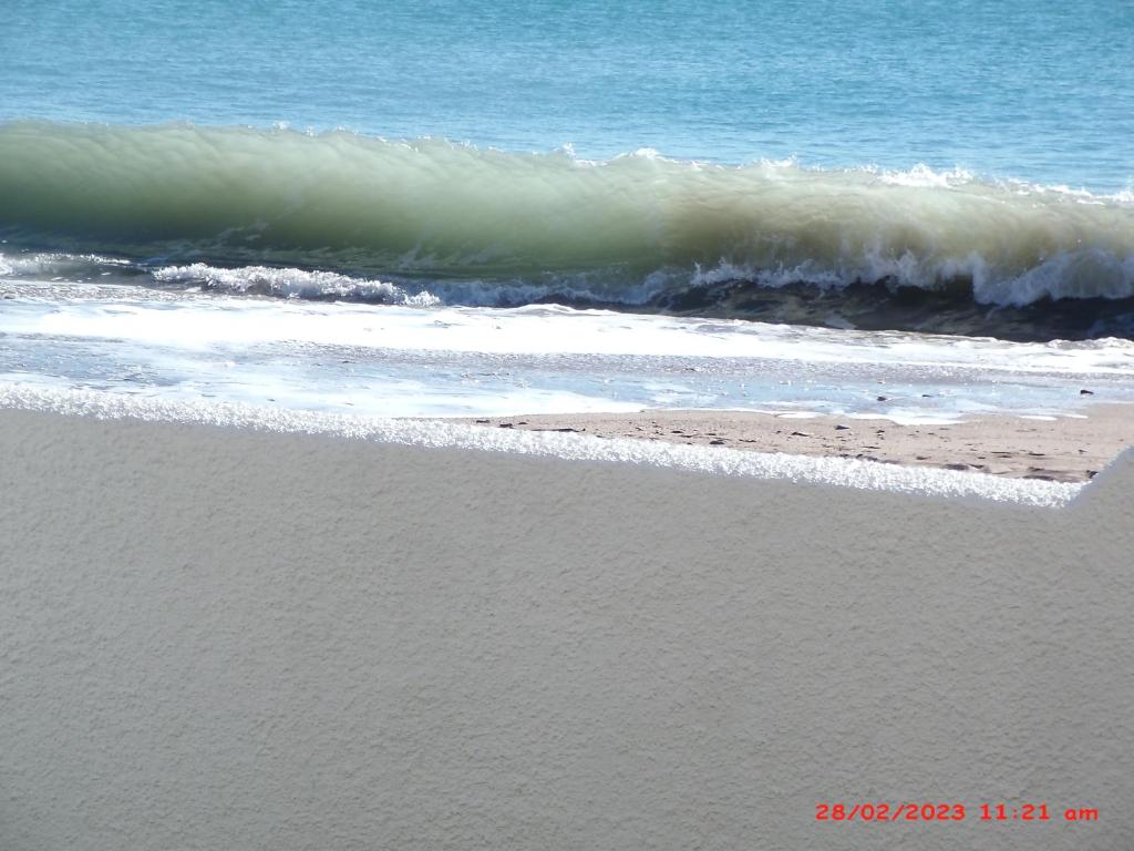 APARTAMENTO BAJO NATURISTA A PIE DE PLAYA. - 5