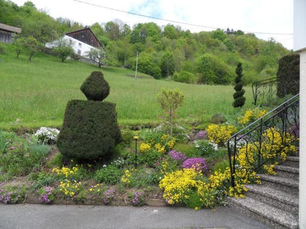 Gîte cosy à La Bresse - Proche sentiers, rivière et piste cyclable, idéal pour randonnées et séjours en famille - FR-1-589-168 - 3
