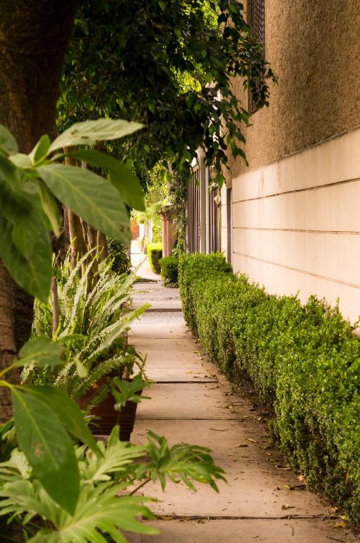 Suite 1-A Monasterio Garden House Welcome to San Angel - 2