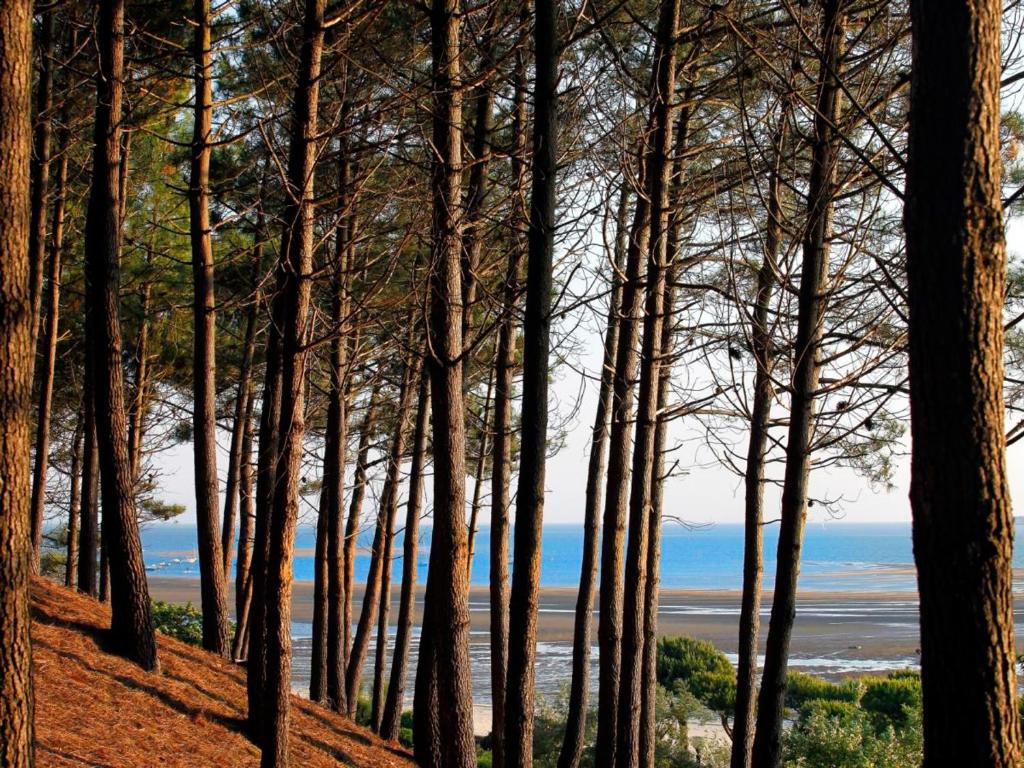 "Arcachon Centre - Agréable T2 avec Balcon, Parking Sécurisé et Équipement Bébé" - FR-1-420-64 - 3