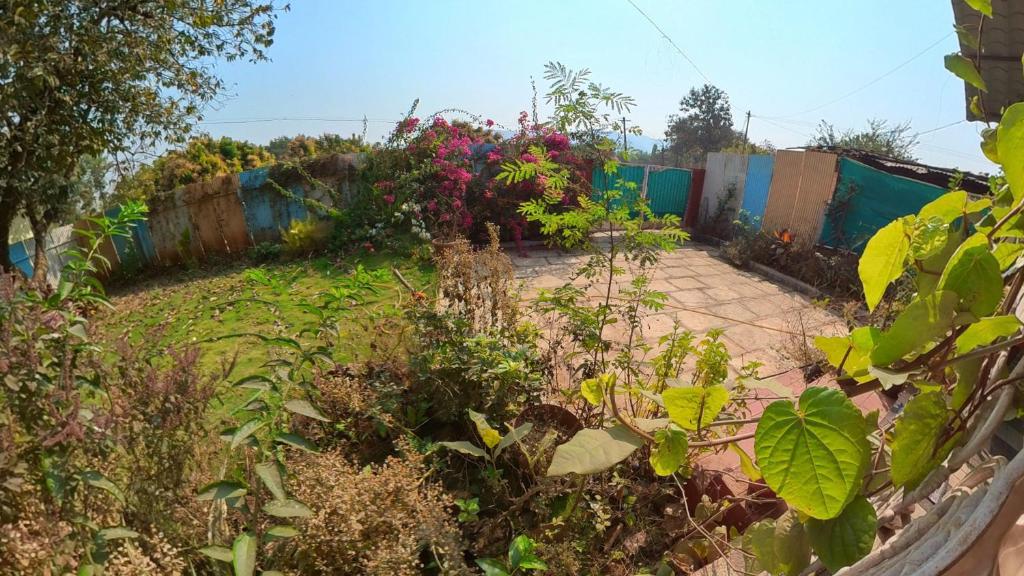 BOUGAIN VILLA photo
