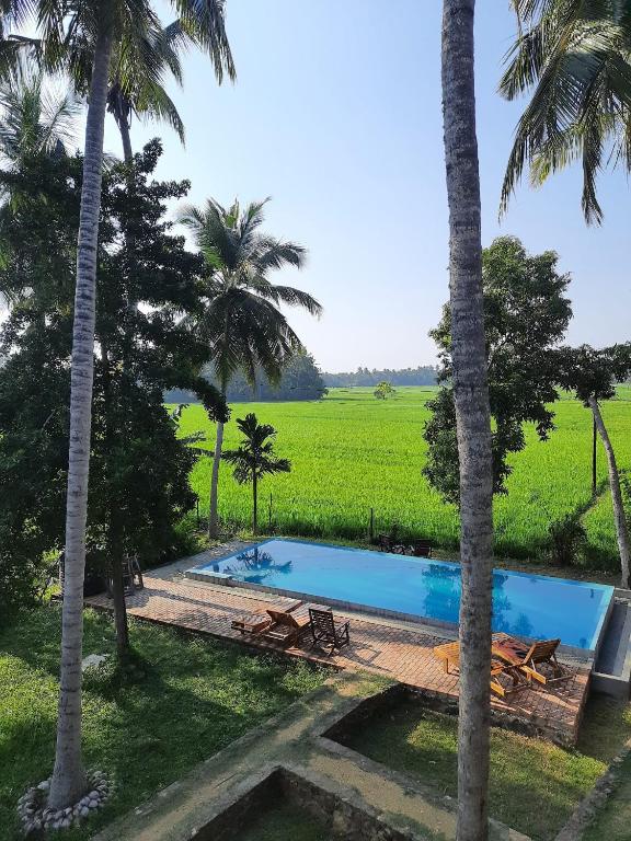 Rice Rice Villas photo