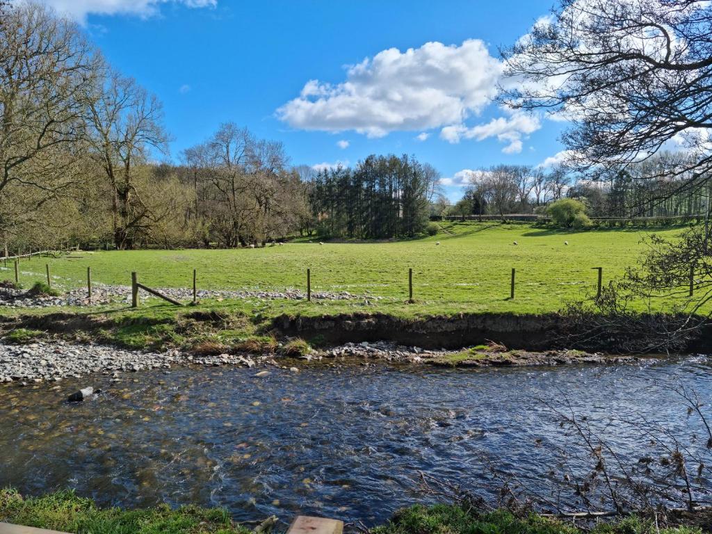 Riverside Cabin at Pen-Y-Bont Mill photo 3