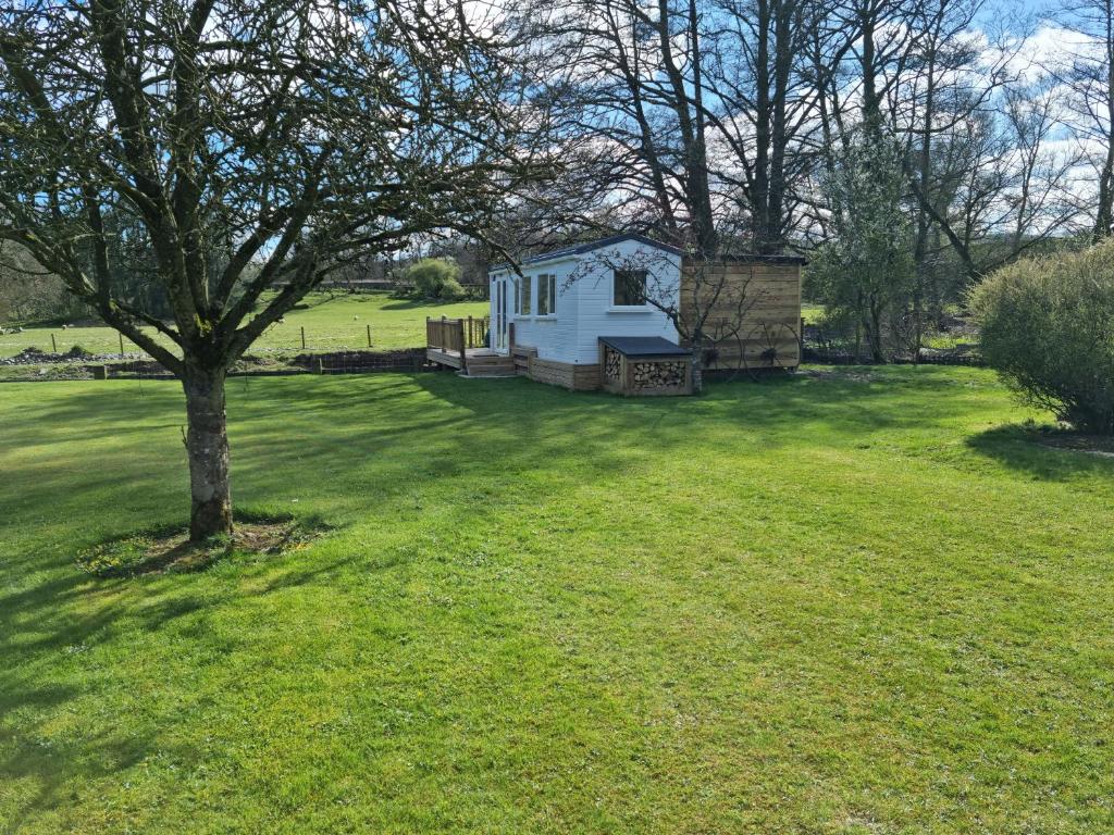 Riverside Cabin at Pen-Y-Bont Mill photo 4
