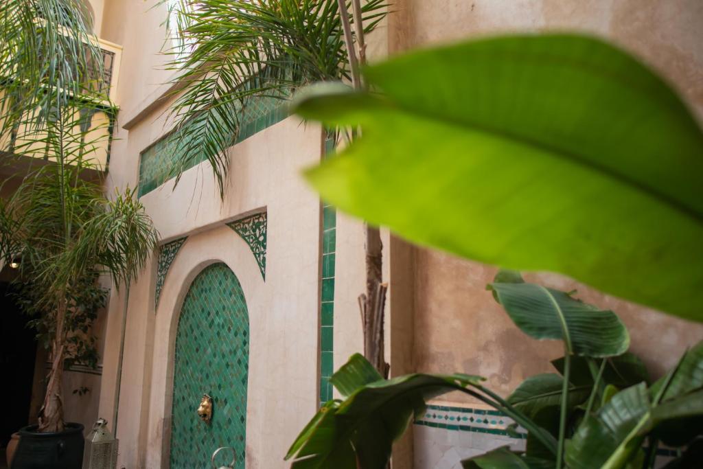 Riad Dar Habiba by Garden Wonders photo