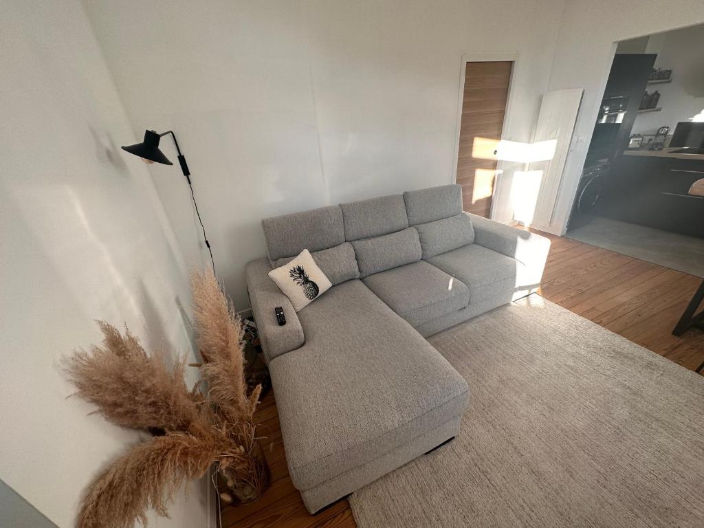 Wimereux, appartement standing - 5